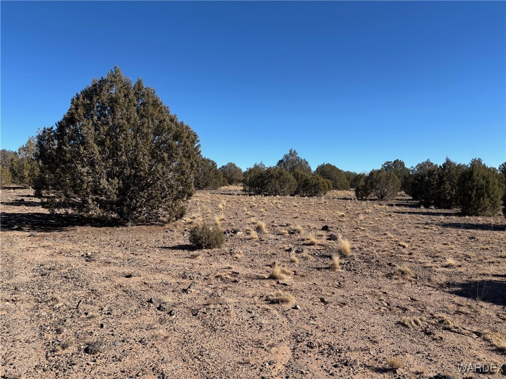14 North Ten Tanks Road Williams, AZ 86046 - Photo 23 of 23 Other