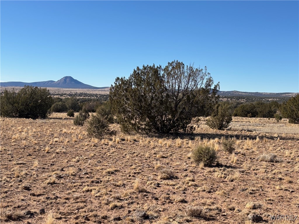 14 North Ten Tanks Road Williams, AZ 86046 - Photo 3 of 23 View