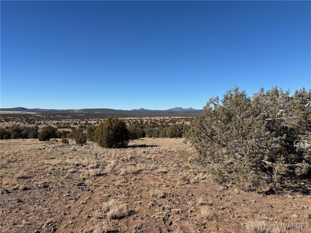 14 North Ten Tanks Road Williams, AZ 86046 - Photo 6 of 23 View