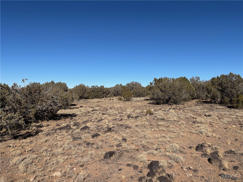 14 North Ten Tanks Road Williams, AZ 86046 - Photo 7 of 23 Other