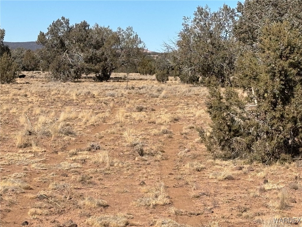 14 North Ten Tanks Road Williams, AZ 86046 - Photo 8 of 23 Other