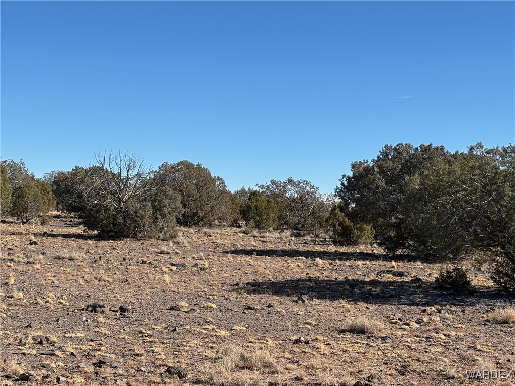14 North Ten Tanks Road Williams, AZ 86046 - Photo 10 of 23 Other