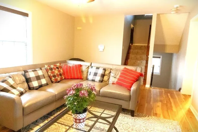 a living room with a couch and a potted plant