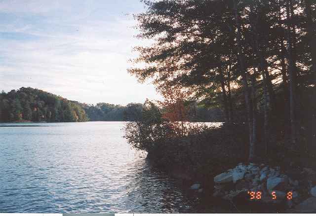 115 Yellowbear Way Sunset, SC 29685 - Photo 1 of 5 Gallery Image 1