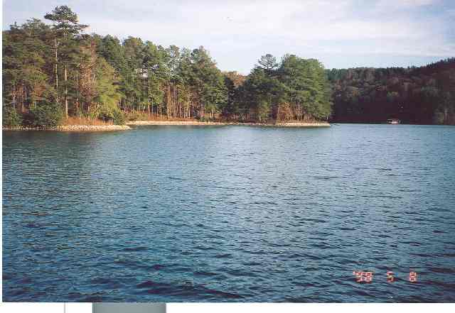 115 Yellowbear Way Sunset, SC 29685 - Photo 3 of 5 Gallery Image 3