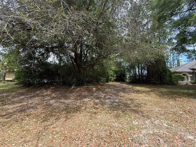 a view of outdoor space with trees