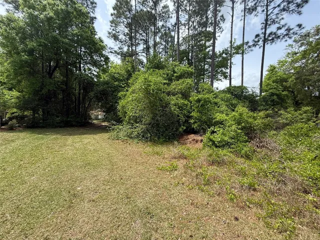 a view of a yard with plants and large trees
