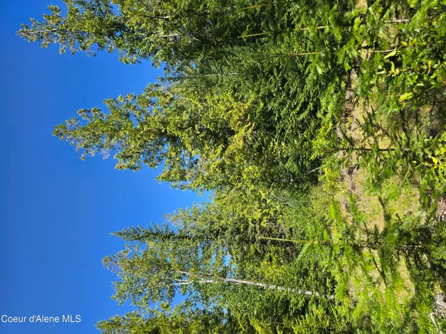 $189,000 | 5 Acres, Sandpoint, ID 83864