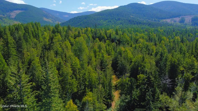 $189,000 | 5 Acres, Sandpoint, ID 83864
