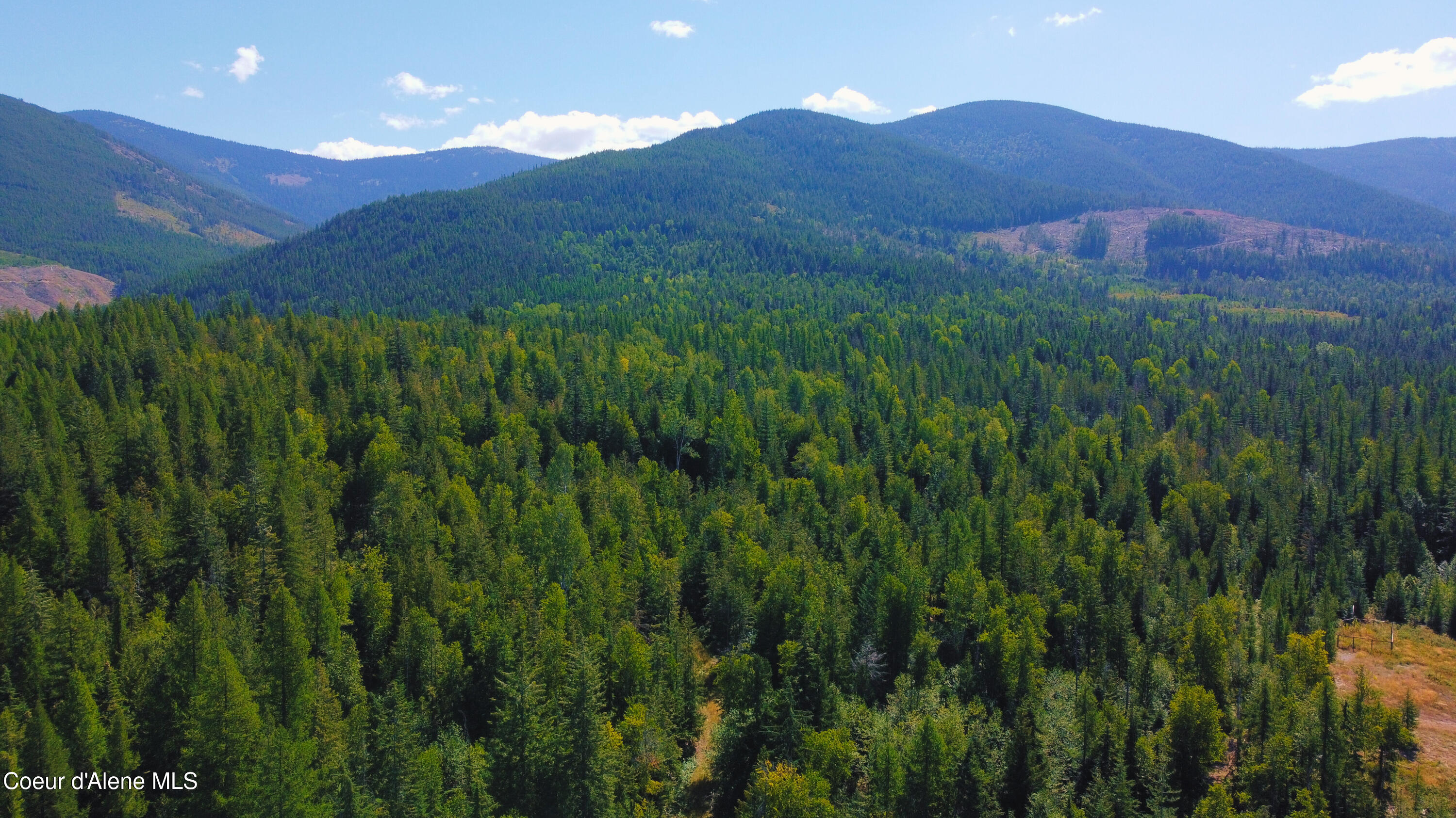 5 Acres Sandpoint, ID 83864 - Photo 13 of 36 DJI_0379 - Edited