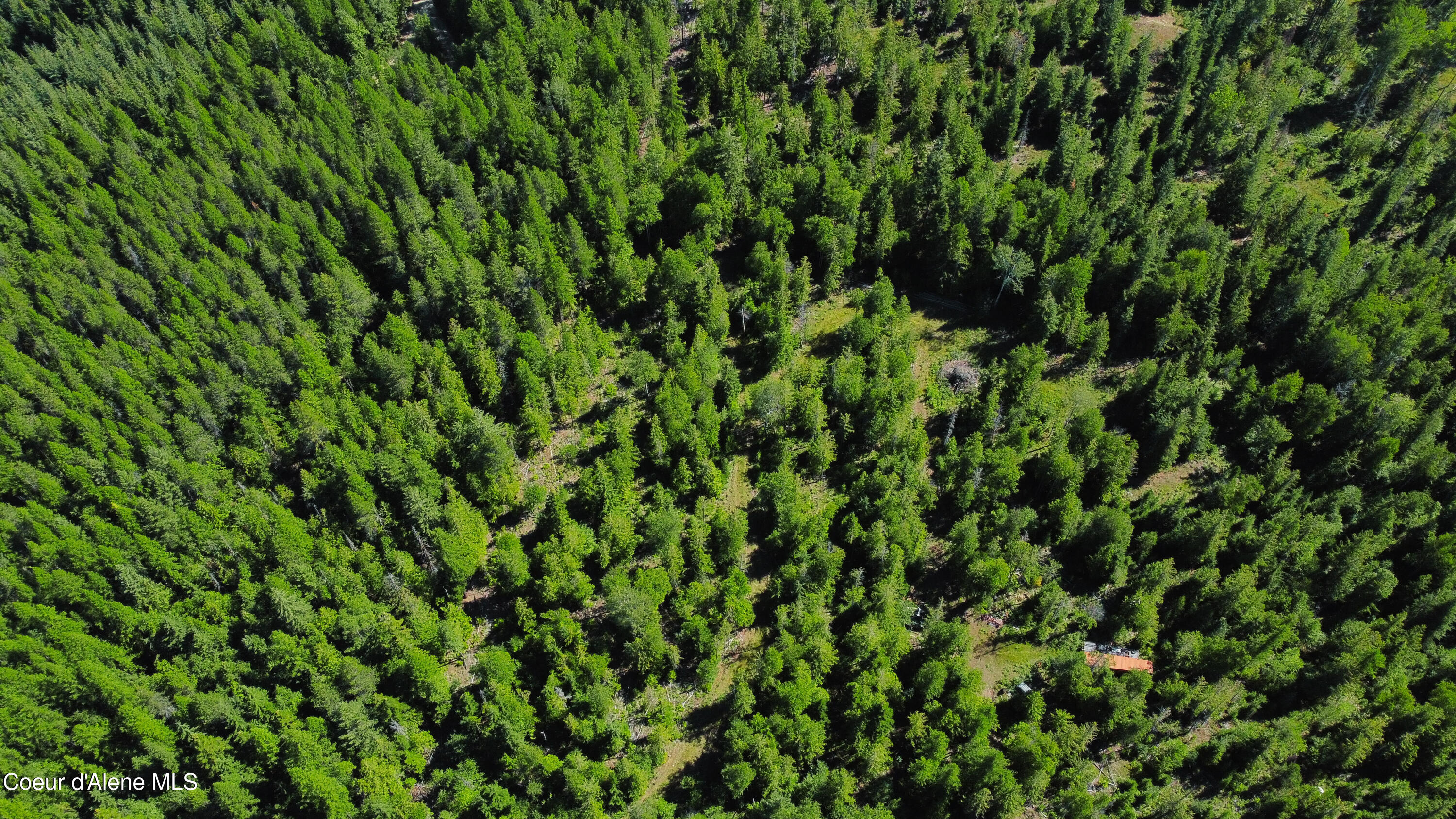 5 Acres Sandpoint, ID 83864 - Photo 20 of 36 DJI_0387 - Edited