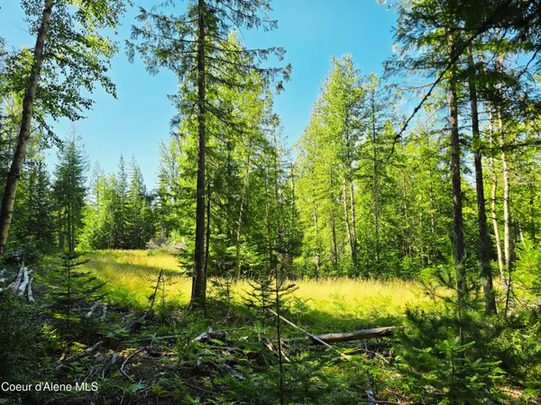 $189,000 | 5 Acres, Sandpoint, ID 83864