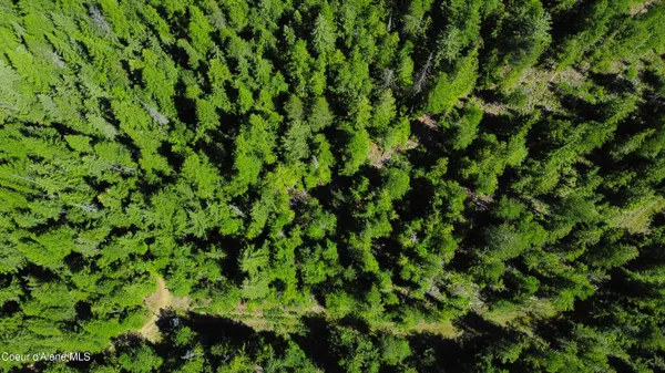 $189,000 | 5 Acres, Sandpoint, ID 83864