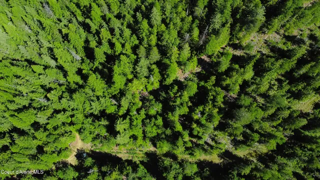 $189,000 | 5 Acres, Sandpoint, ID 83864