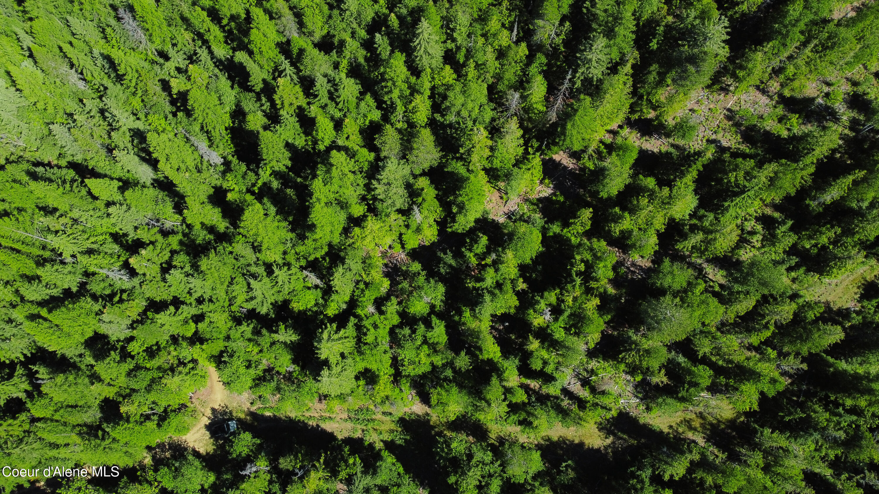 5 Acres Sandpoint, ID 83864 - Photo 27 of 36 DJI_0394 - Edited