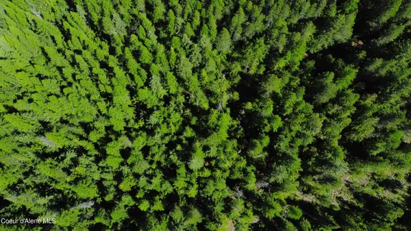 $189,000 | 5 Acres, Sandpoint, ID 83864