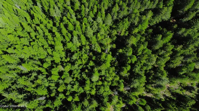 $189,000 | 5 Acres, Sandpoint, ID 83864