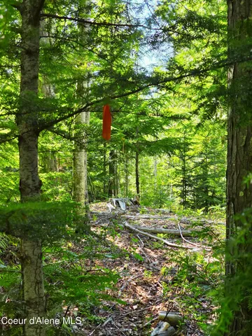 $189,000 | 5 Acres, Sandpoint, ID 83864