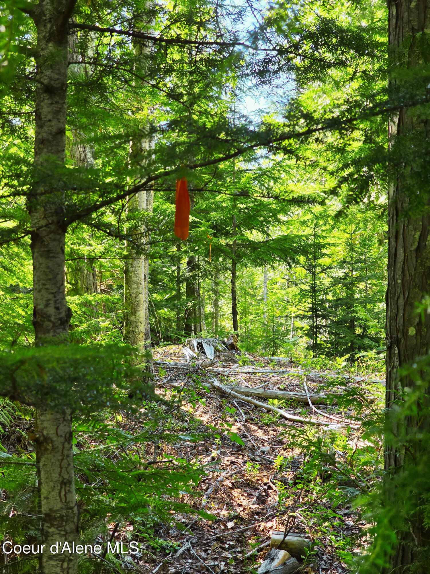 5 Acres Sandpoint, ID 83864 - Photo 5 of 36 05