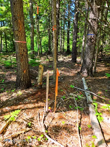 $189,000 | 5 Acres, Sandpoint, ID 83864