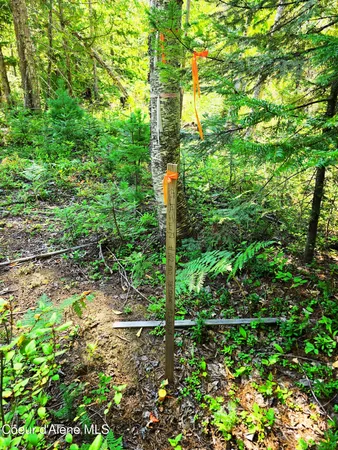 $189,000 | 5 Acres, Sandpoint, ID 83864