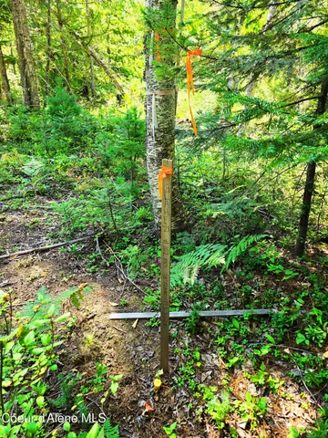 $189,000 | 5 Acres, Sandpoint, ID 83864