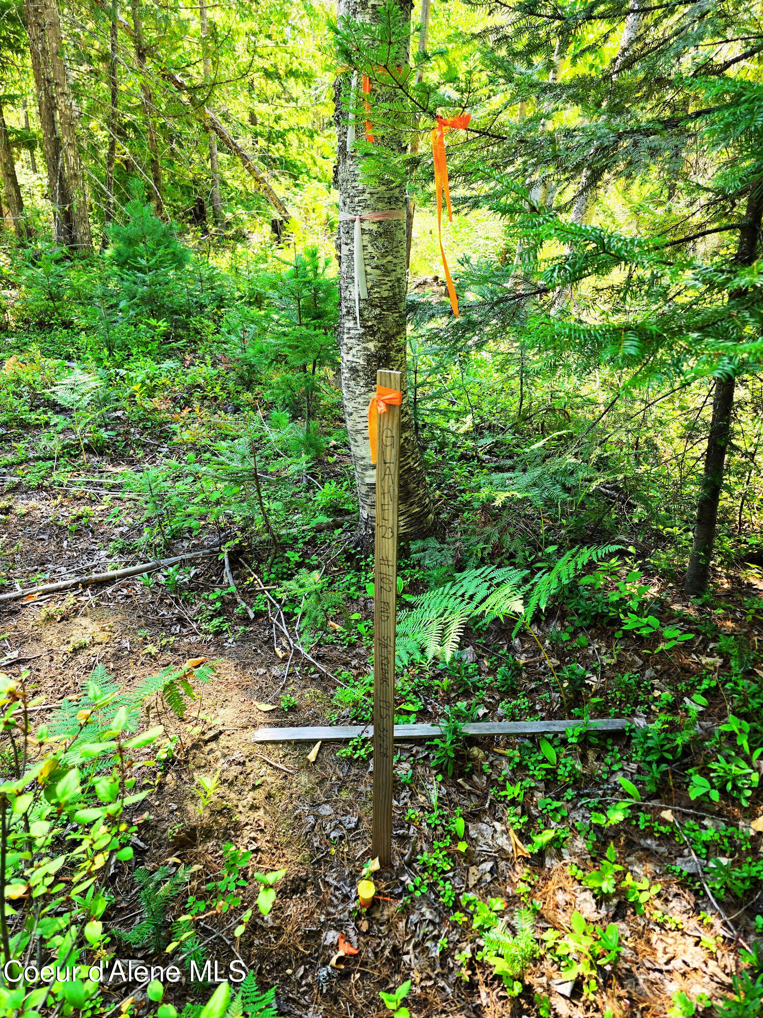 5 Acres Sandpoint, ID 83864 - Photo 7 of 36 07