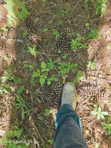 $189,000 | 5 Acres, Sandpoint, ID 83864