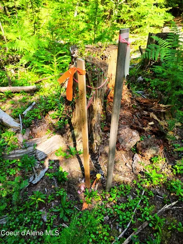 $189,000 | 5 Acres, Sandpoint, ID 83864