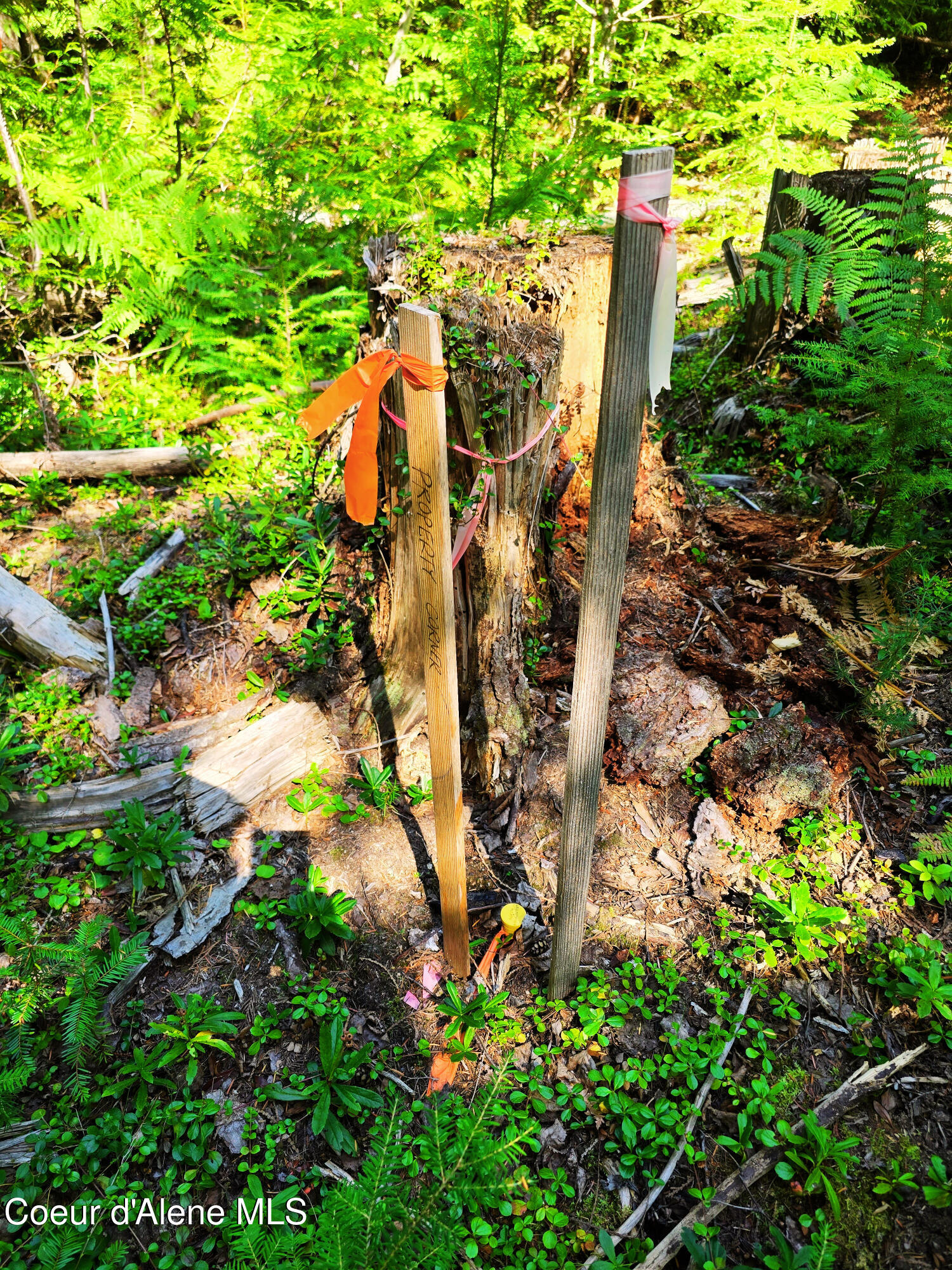 5 Acres Sandpoint, ID 83864 - Photo 9 of 36 09