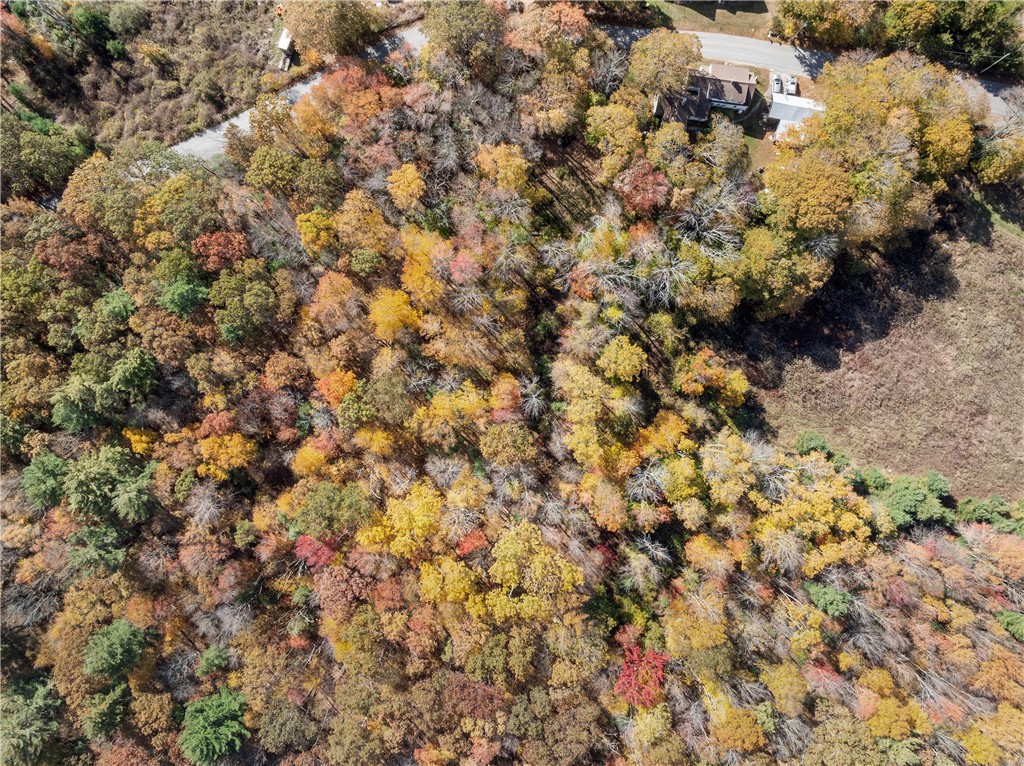 0 Jackson Schoolhouse Road Pascoag, RI 02859 - Photo 4 of 17 Gallery Image 4