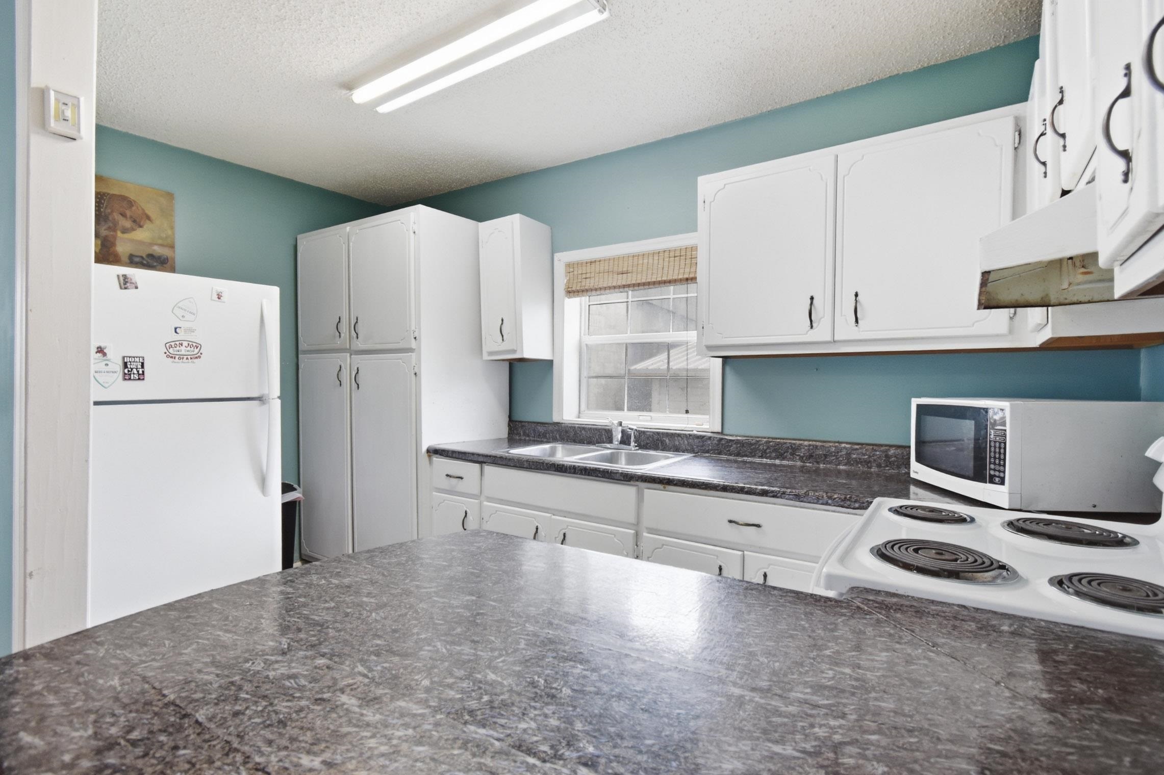 133 Southwest Monroe Avenue Mayo, FL 32066 - Photo 12 of 37