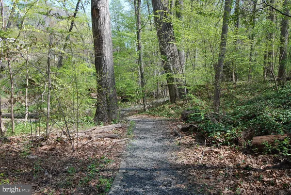 $2,500 | 4023 18th Road North, Unit 1, Arlington, VA 22207