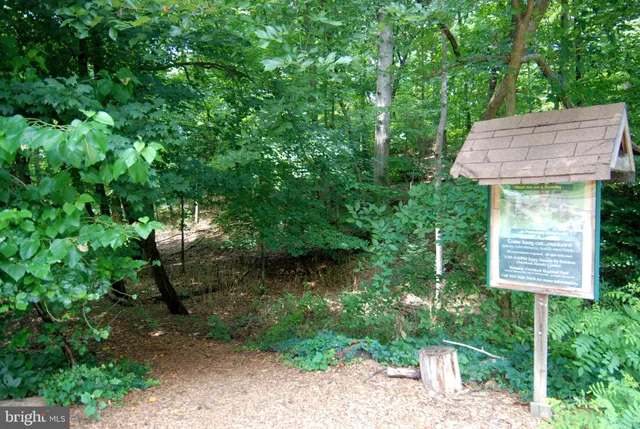 a view of a backyard with plants and a patio