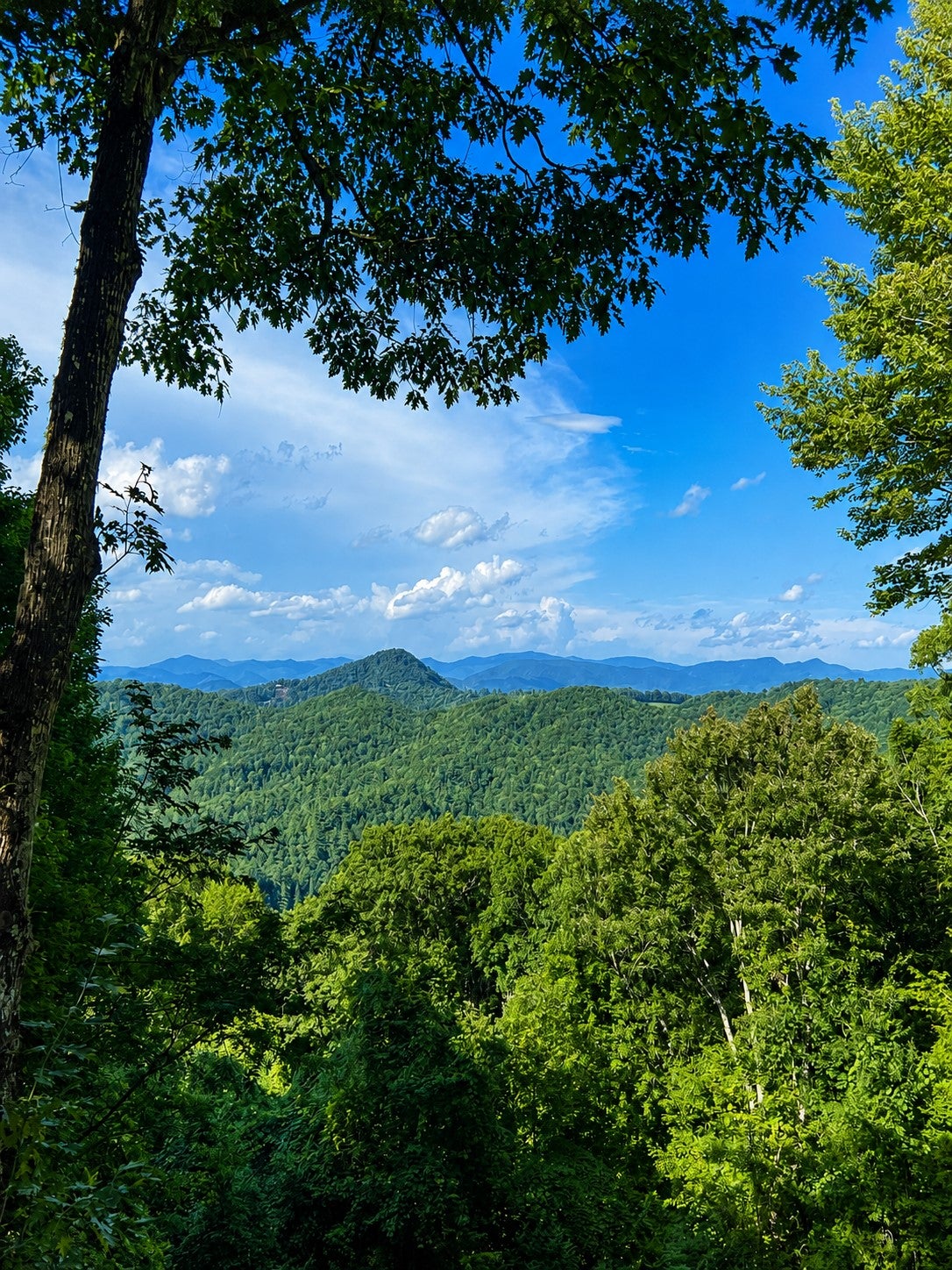 2017 Big Ridge Road Glenville, NC 28736 - Photo 23 of 27 Gallery Image 23