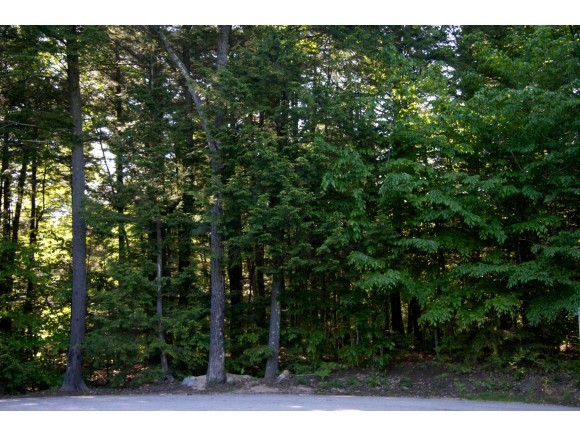 39 Lower Waldron Road Meredith, NH 03253 - Photo 5 of 35