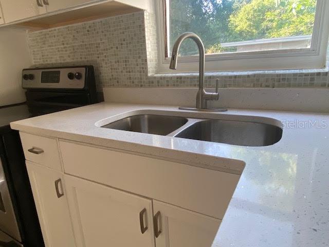 907 Columbia Street Orlando, FL 32805 - Photo 7 of 30 a close view of sink and tap