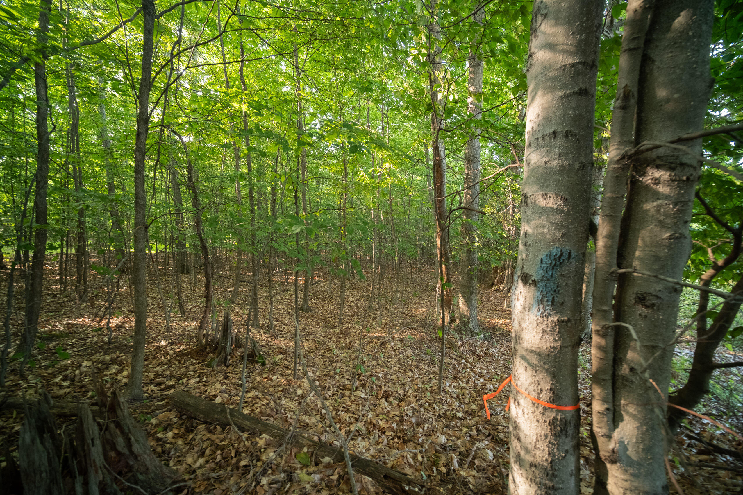 Emerald Ridge Trail, Unit 4 & 5 Onekama, MI 49675 - Photo 18 of 40 Additional Photo