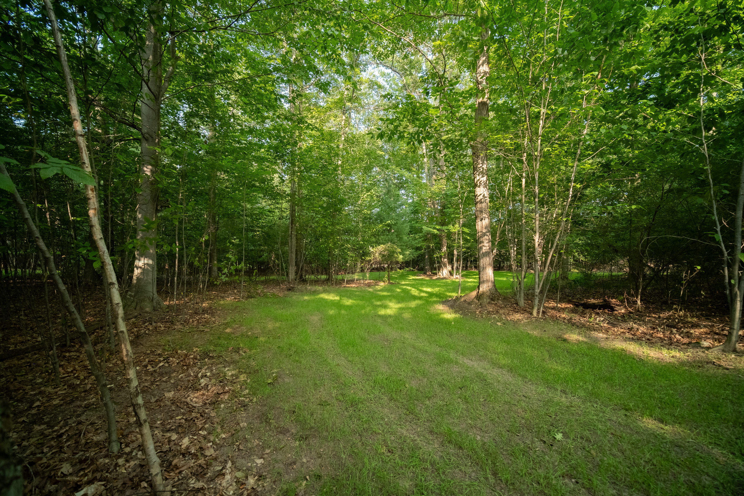 Emerald Ridge Trail, Unit 4 & 5 Onekama, MI 49675 - Photo 7 of 40 Driveway already cleared