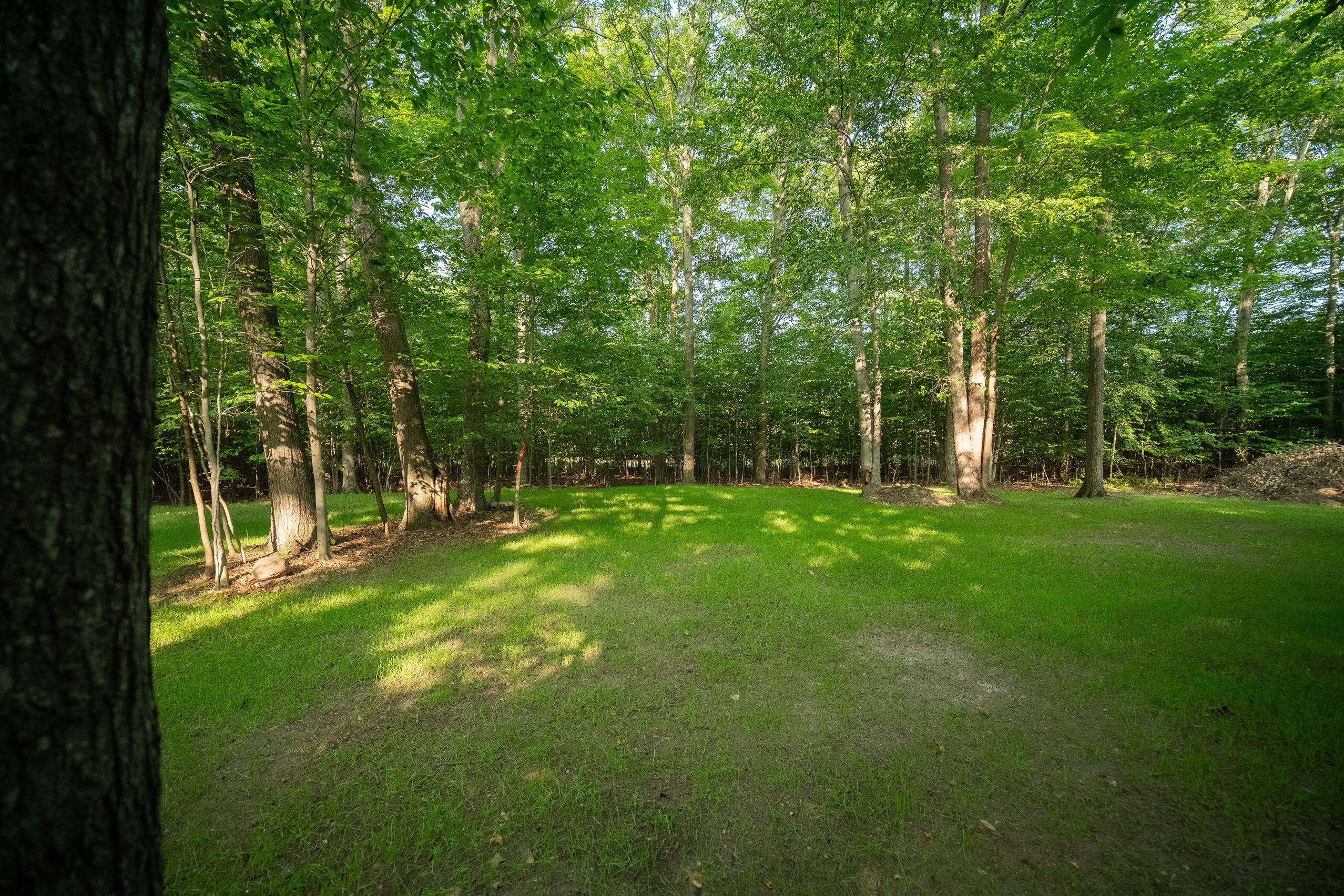 Emerald Ridge Trail, Unit 4 & 5 Onekama, MI 49675 - Photo 8 of 40 Additional Photo