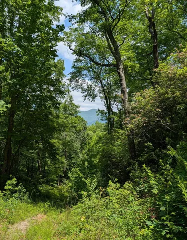 $249,000 | 64 East Hayesville Nc 28904, Hayesville, NC 28904