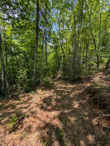 $249,000 | 64 East Hayesville Nc 28904, Hayesville, NC 28904