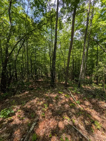 $249,000 | 64 East Hayesville Nc 28904, Hayesville, NC 28904