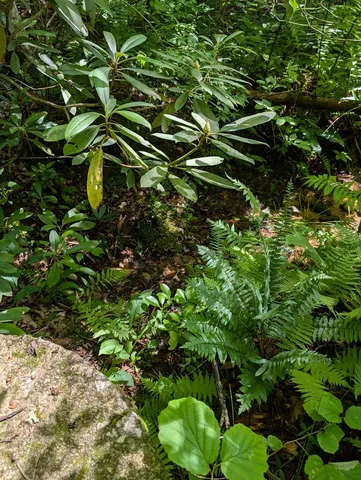 $249,000 | 64 East Hayesville Nc 28904, Hayesville, NC 28904