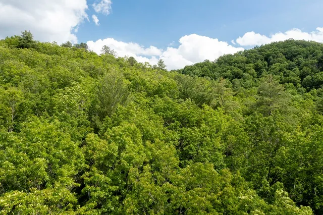 $249,000 | 64 East Hayesville Nc 28904, Hayesville, NC 28904