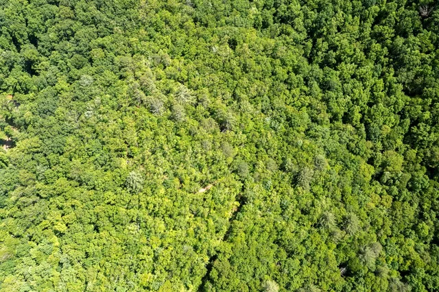 $249,000 | 64 East Hayesville Nc 28904, Hayesville, NC 28904