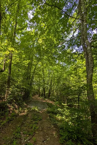 $249,000 | 64 East Hayesville Nc 28904, Hayesville, NC 28904