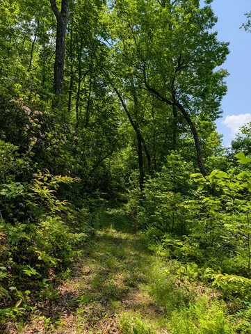 $249,000 | 64 East Hayesville Nc 28904, Hayesville, NC 28904