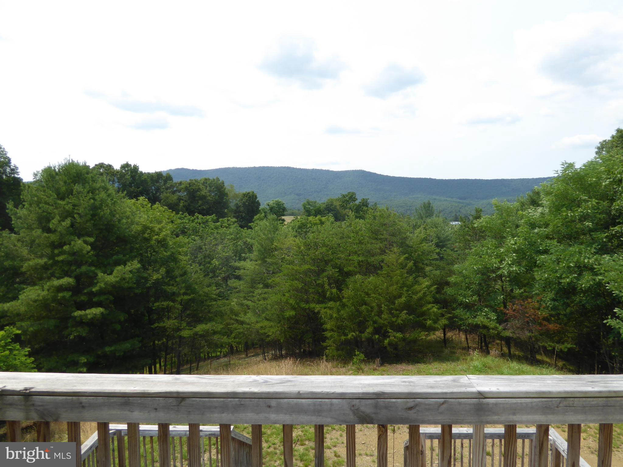 1285 Boggs Lane Mathias, WV 26812 - Photo 42 of 50