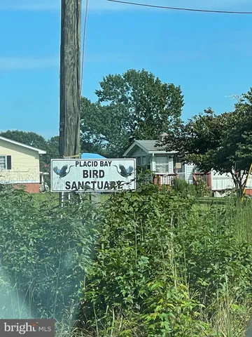 a view of a back yard